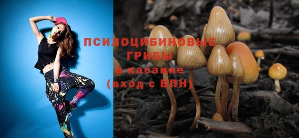эйфоретик Красноперекопск
